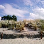 Loudboy album artwork